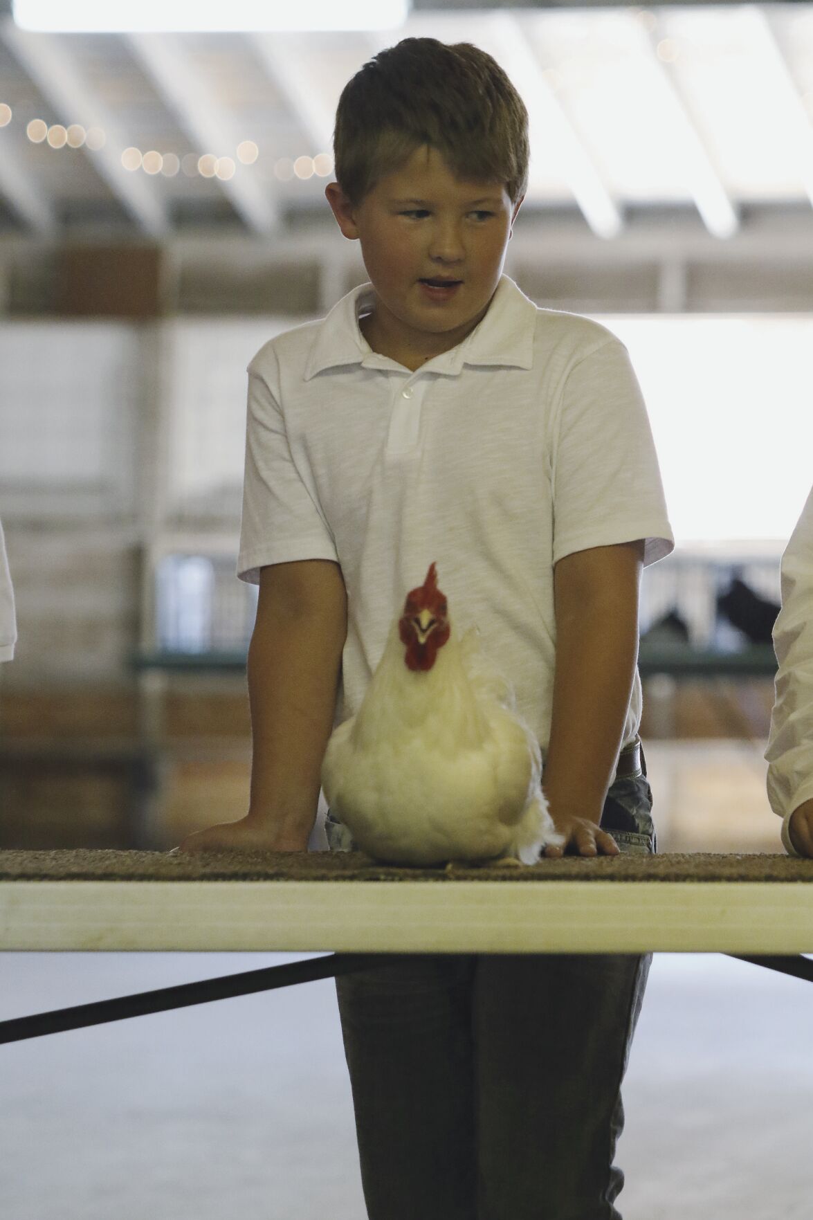 PHOTOS: Poultry Show at Scotts Bluff County Fair 2020